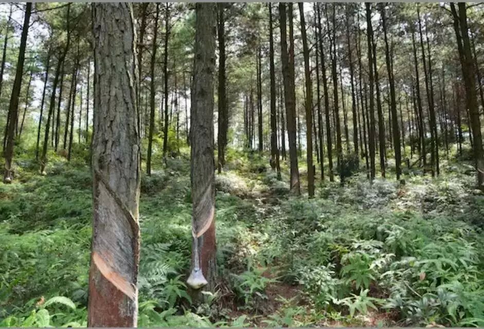 1474188736104976.jpg